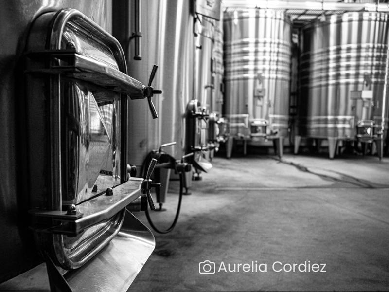 Visite-dégustation : Visite du domaine et histoire de l'appellation