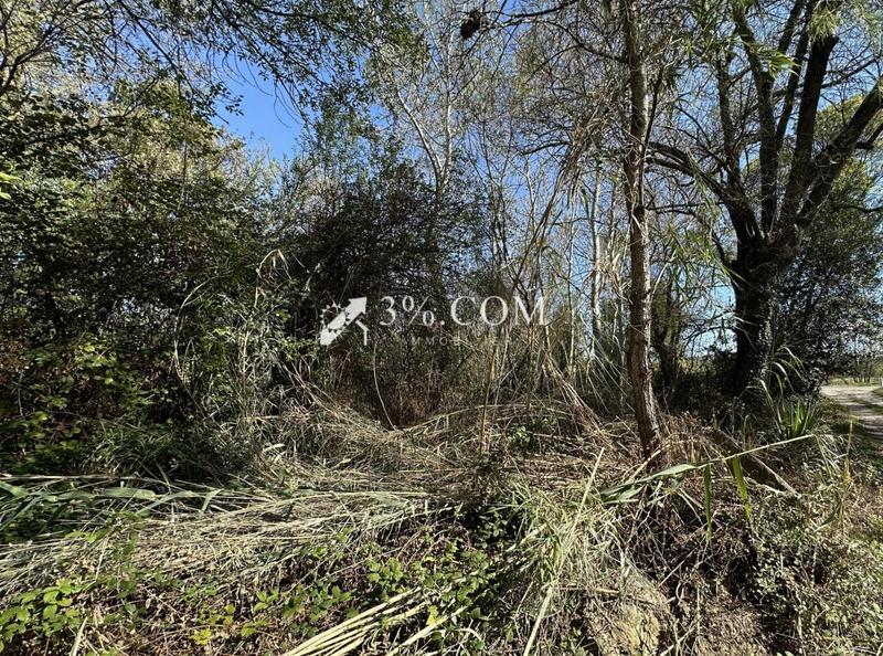 Terrain de loisirs - 4 800 m²