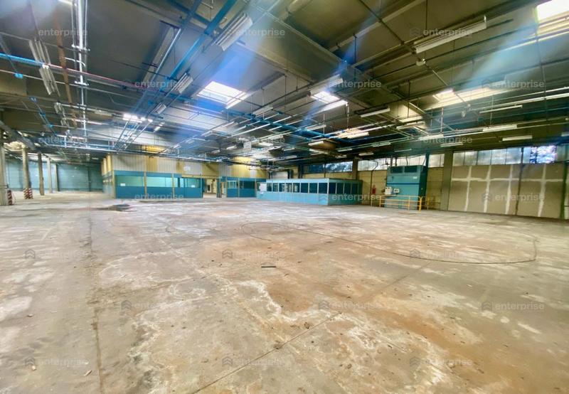 Local d'activité / Entrepôt - 25 000 m²
