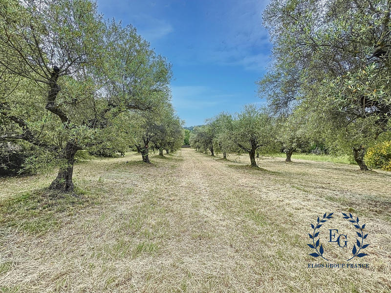 Maison traditionnelle - 218 m² - 6 pièces