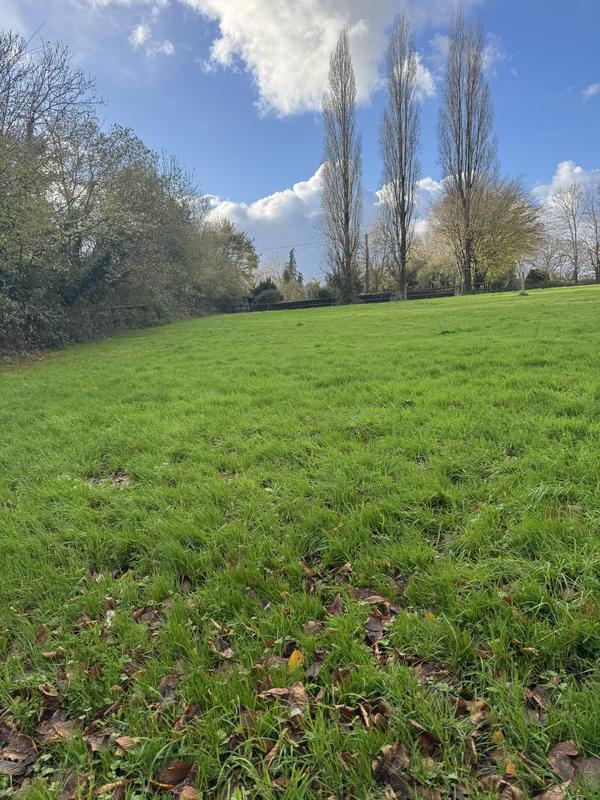 Terrain constructible - 3 200 m²