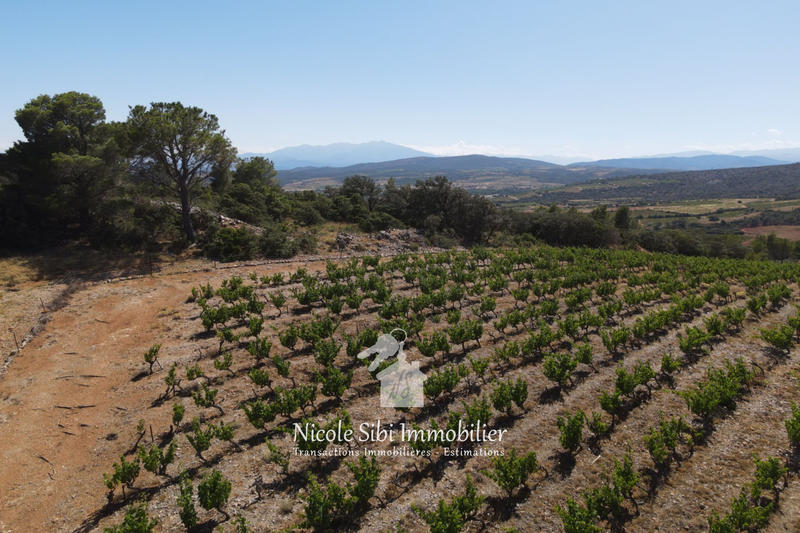 Terrain agricole - 30 000 m²