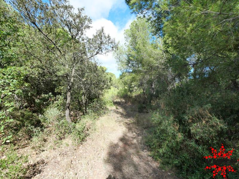 Terrain de loisirs - 23 990 m²