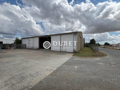 Local d'activités - 865 m²