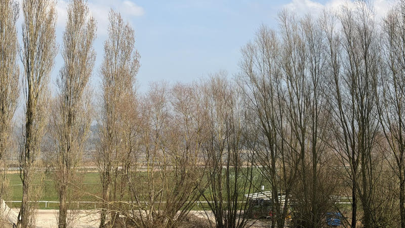 Appartement - 42 m² - 3 pièces