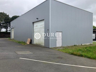 Local d'activités - 1 040 m²