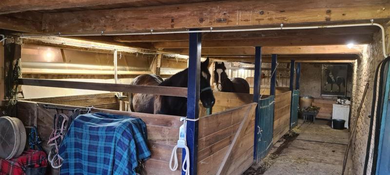 Corps de ferme - 222 m² - 8 pièces