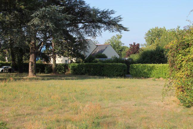 Terrain constructible