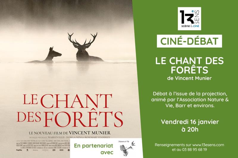 Ciné-Débat - le Chant des forêts de Vincent Munier