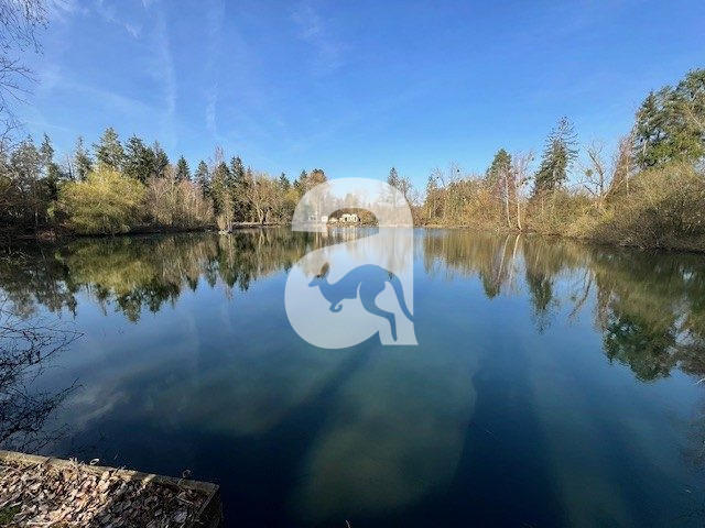 Terrain de loisirs - 12 673 m²