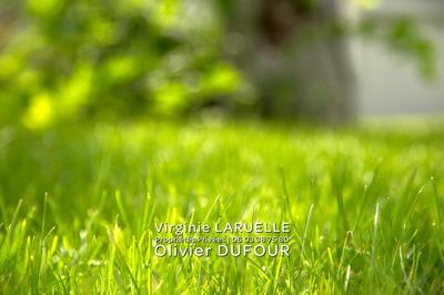 Terrain constructible - 2 100 m²