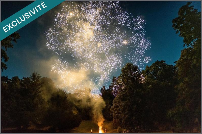 Château - 1 150 m² - 15 pièces