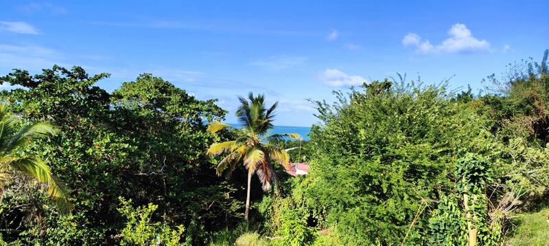 Propriété - 158 m²