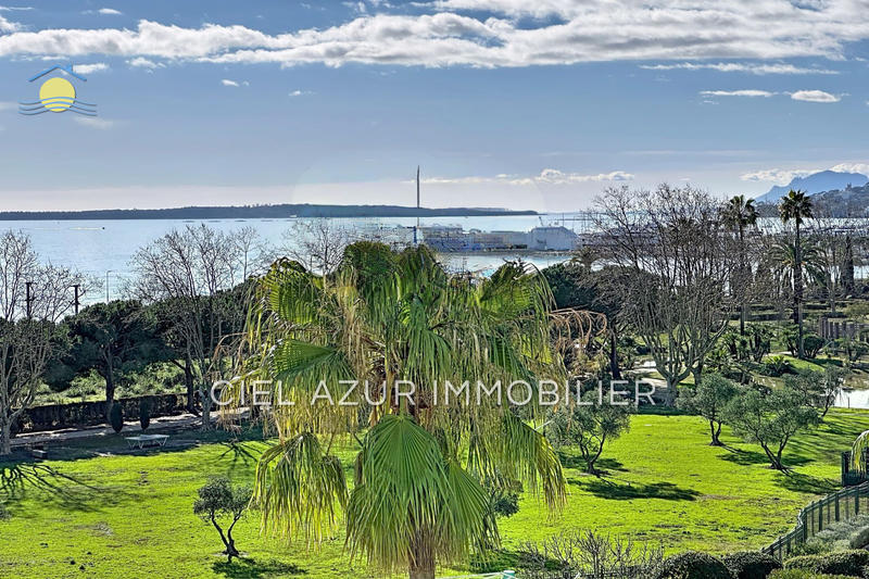 Appartement - 31 m² - 2 pièces