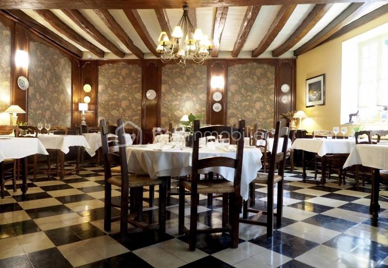 Hôtel particulier - 394 m² - 10 pièces