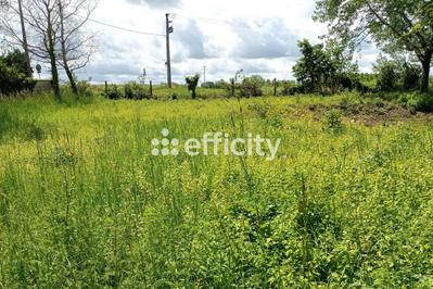 Terrain - 1 285 m²