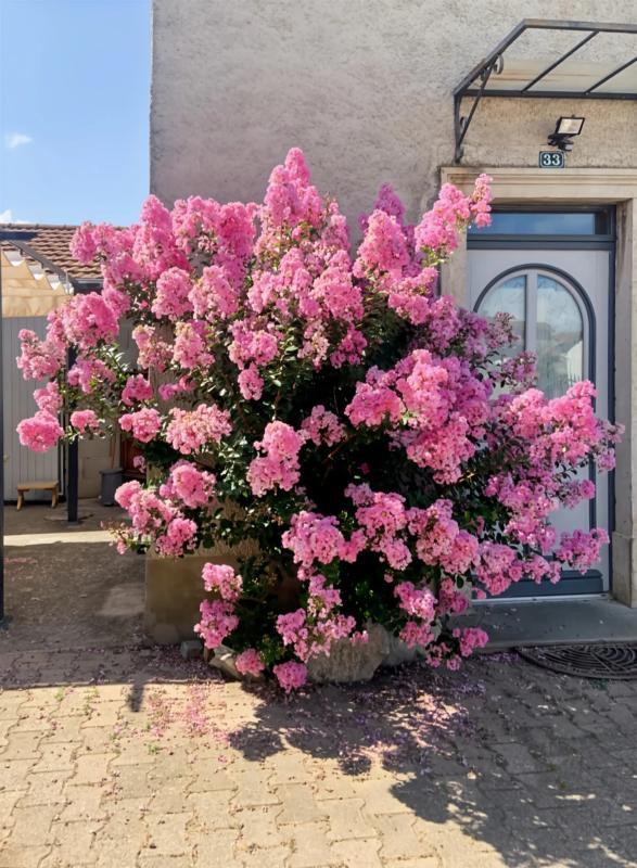 Maison - 125 m² - 6 pièces