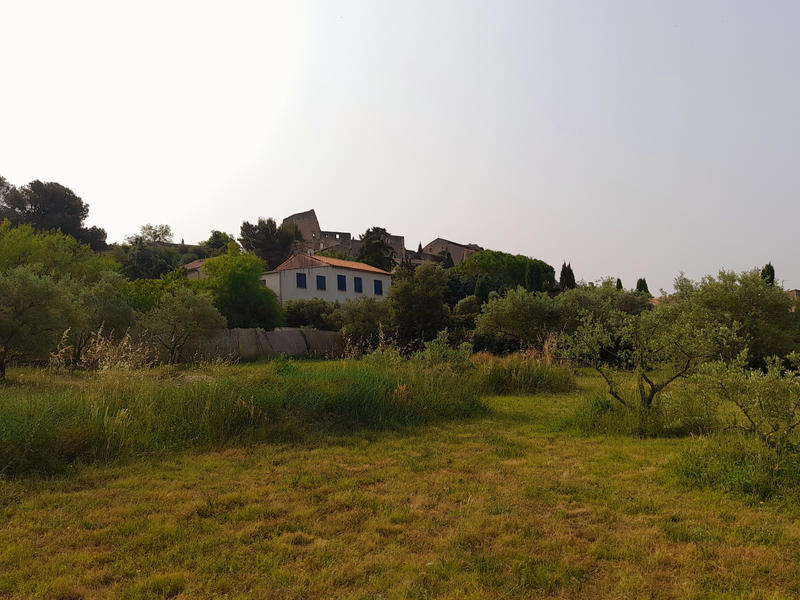 Terrain - 781 m²