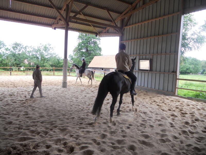 Après-midi découverte aux écuries des Grandes Plaines