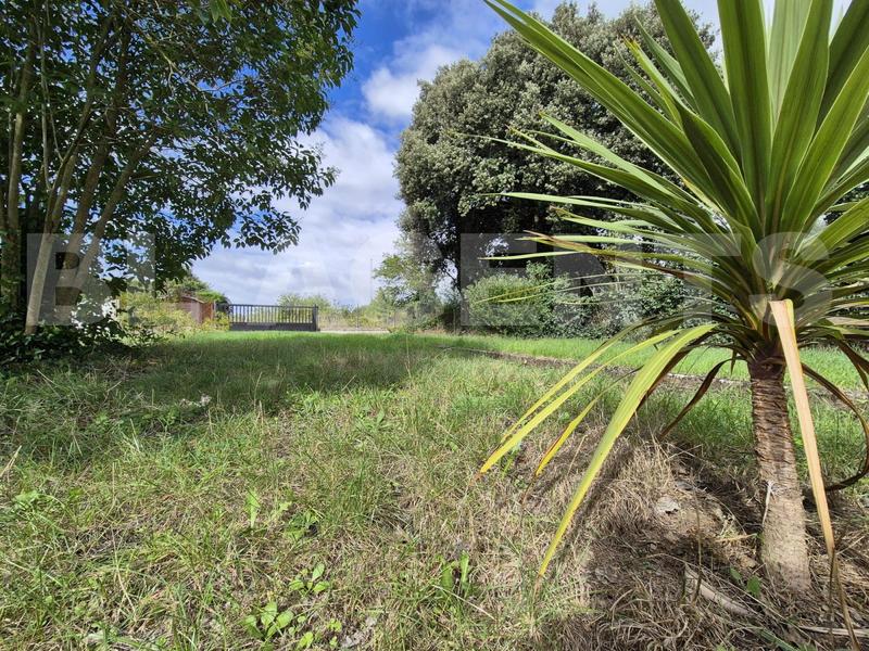 Maison - 234 m² - 8 pièces