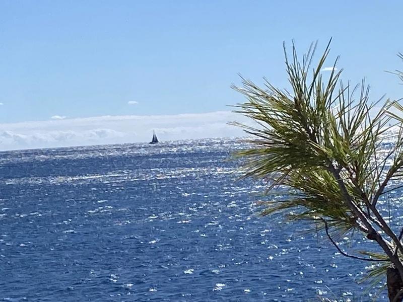 Villa - 240 m² - 8 pièces