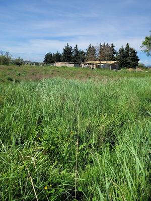 Terrain agricole - 2 452 m²