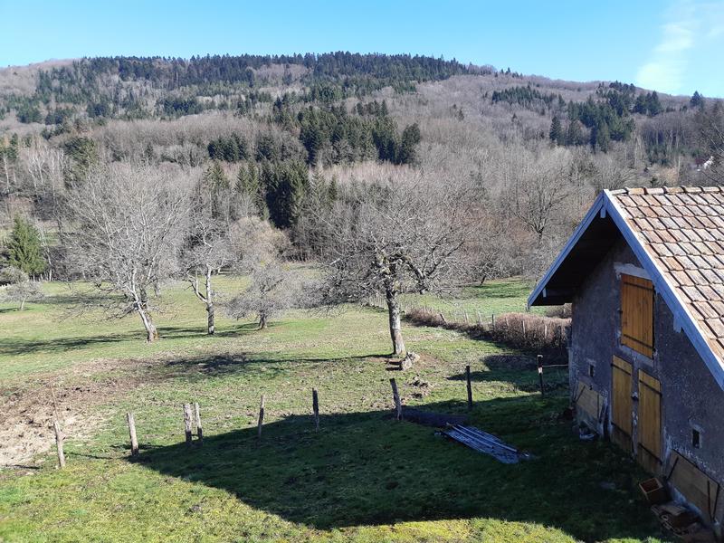 Maison de village - 220 m² - 6 pièces