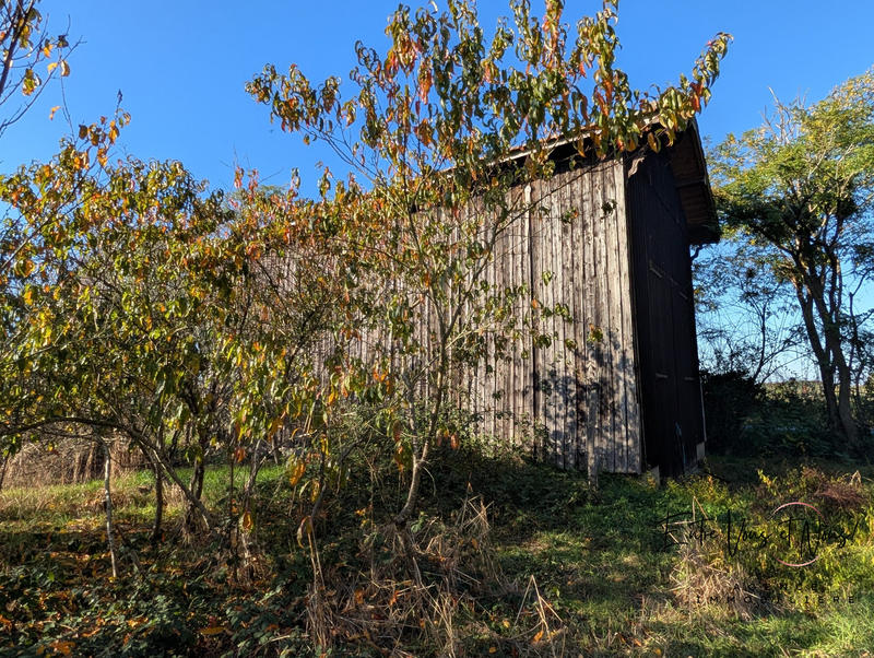 Maison - 60 m² - 3 pièces