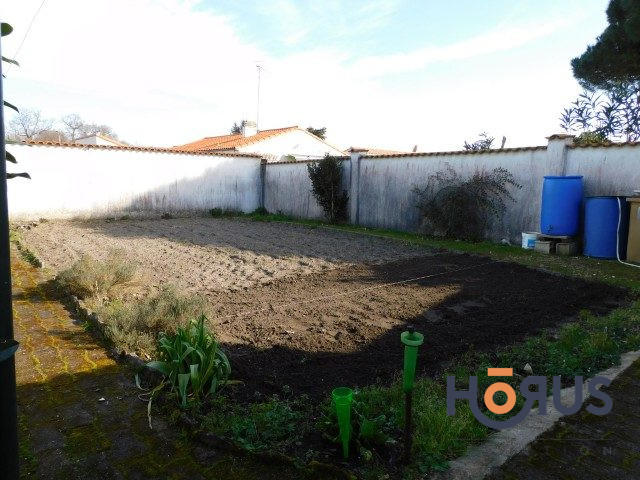 Viager - Maison - 80 m² - 3 pièces