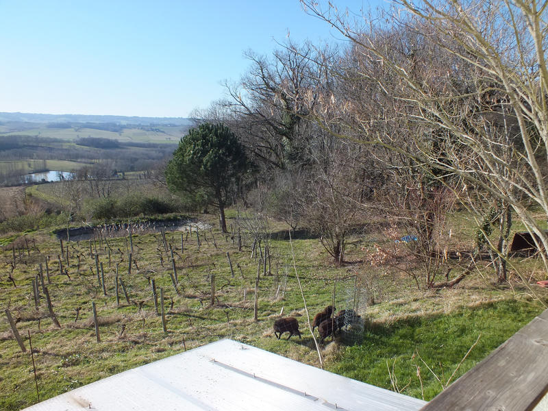 Maison - 261 m² - 9 pièces