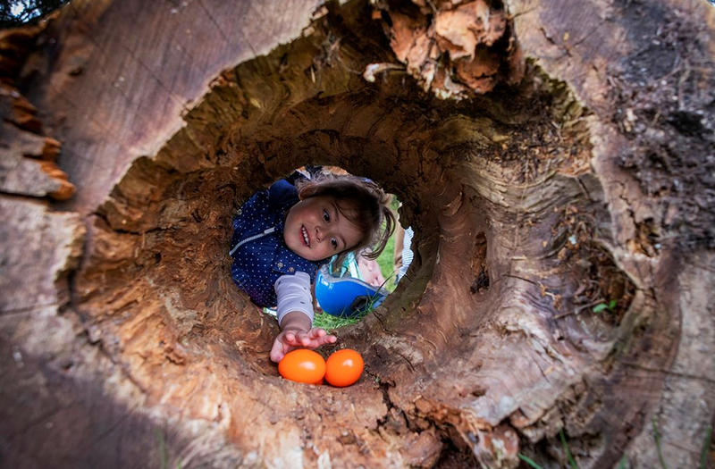 Châteaux en fête - Château de Bridoire