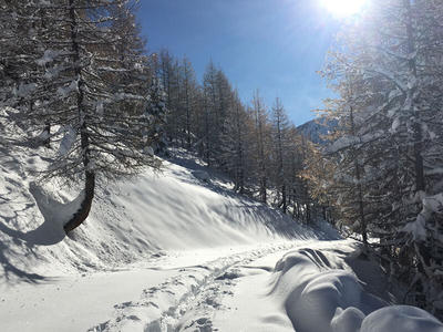 Studio - 25 m² - 1 pièce