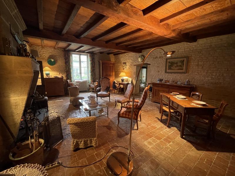 Viager - Maison ancienne - 550 m² - 12 pièces