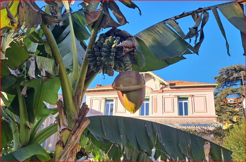 Maison - 260 m² - 8 pièces