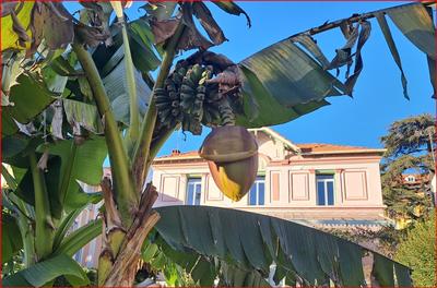 Maison - 260 m² - 8 pièces