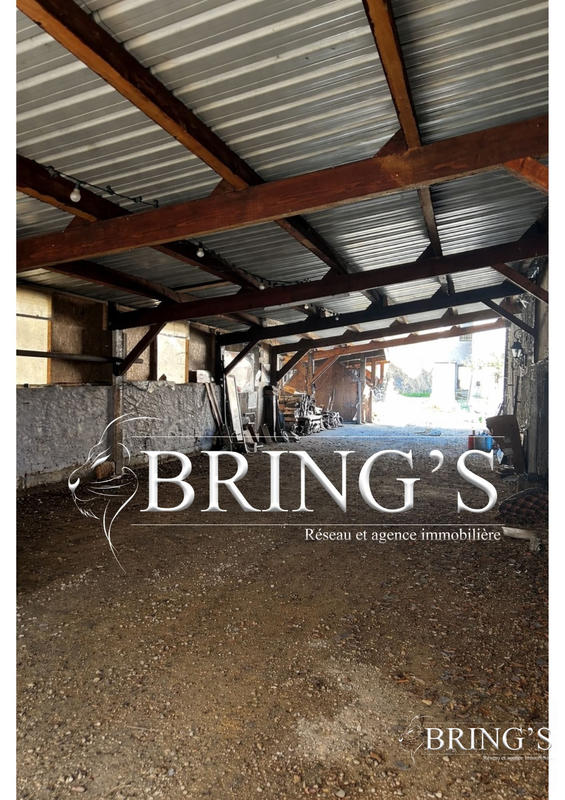 Maison ancienne - 340 m² - 16 pièces