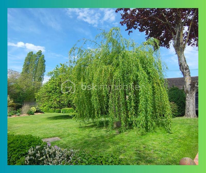 Maison ancienne - 150 m² - 6 pièces