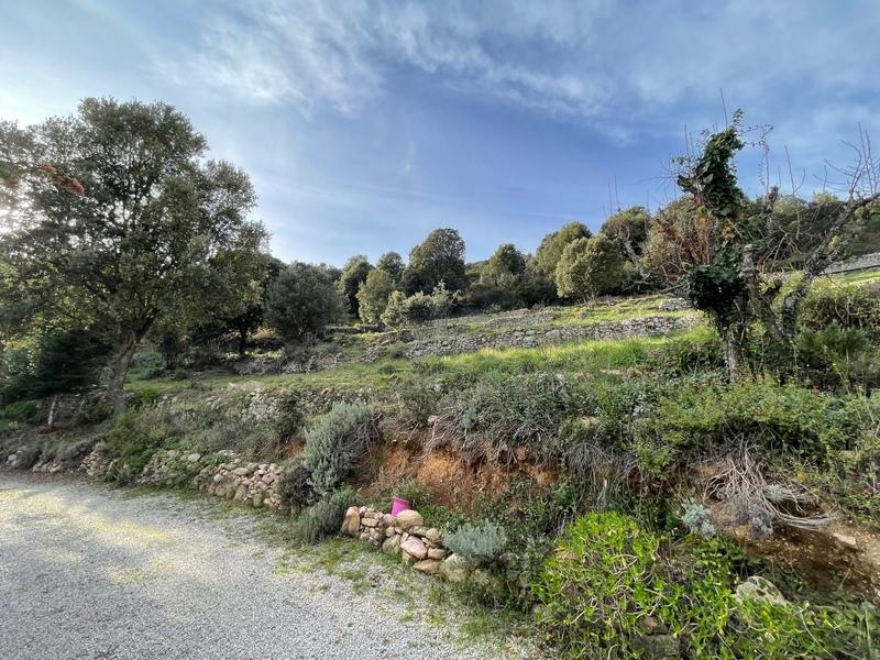 Maison - 265 m² - 8 pièces