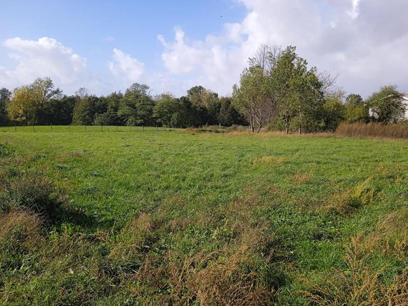 Terrain constructible - 997 m²