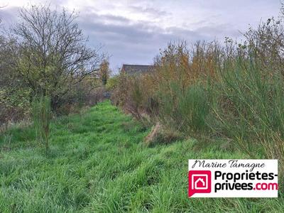 Terrain constructible - 4 895 m²