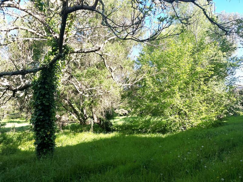 Maison - 500 m² - 10 pièces