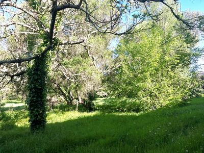 Maison - 500 m² - 10 pièces