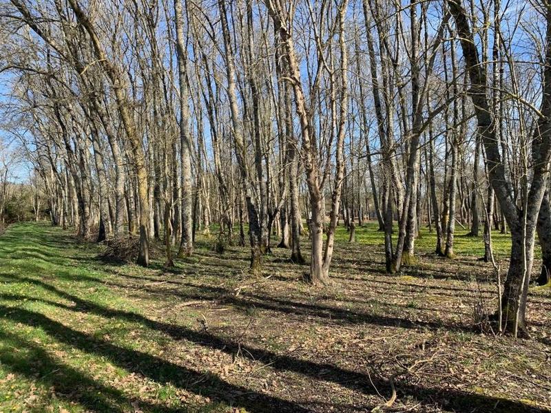 Terrain de loisirs - 3 220 m²