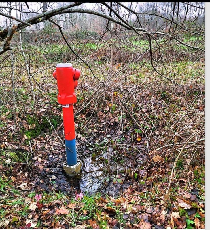 Terrain - 31 811 m²