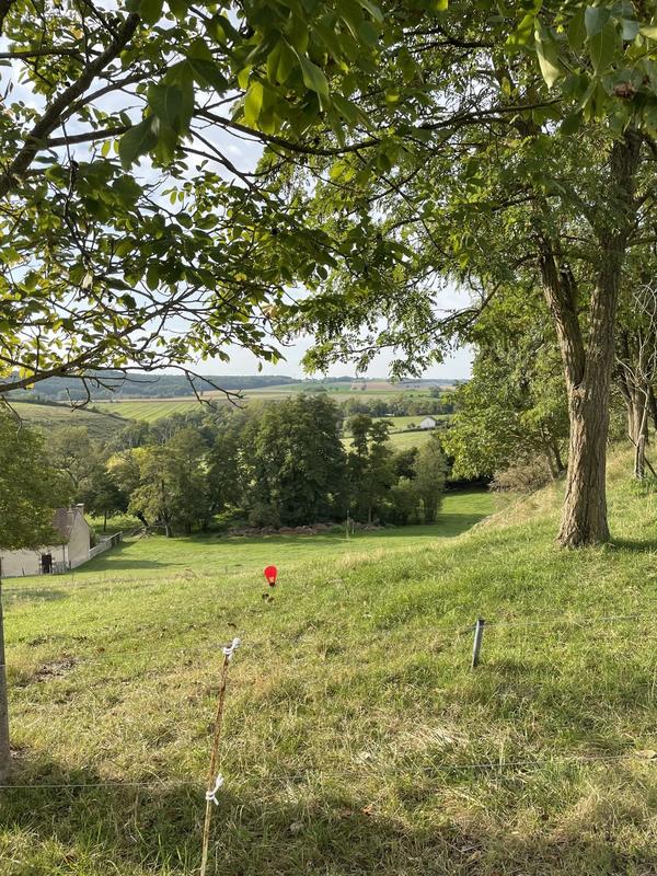 Maison - 870 m² - 3 pièces