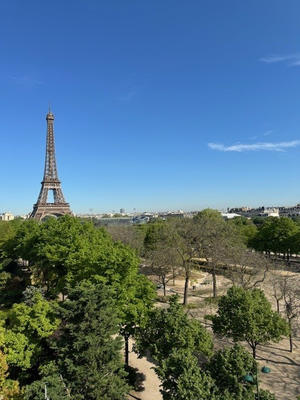 Appartement - 296 m² - 8 pièces