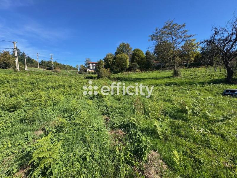 Terrain - 2 949 m²