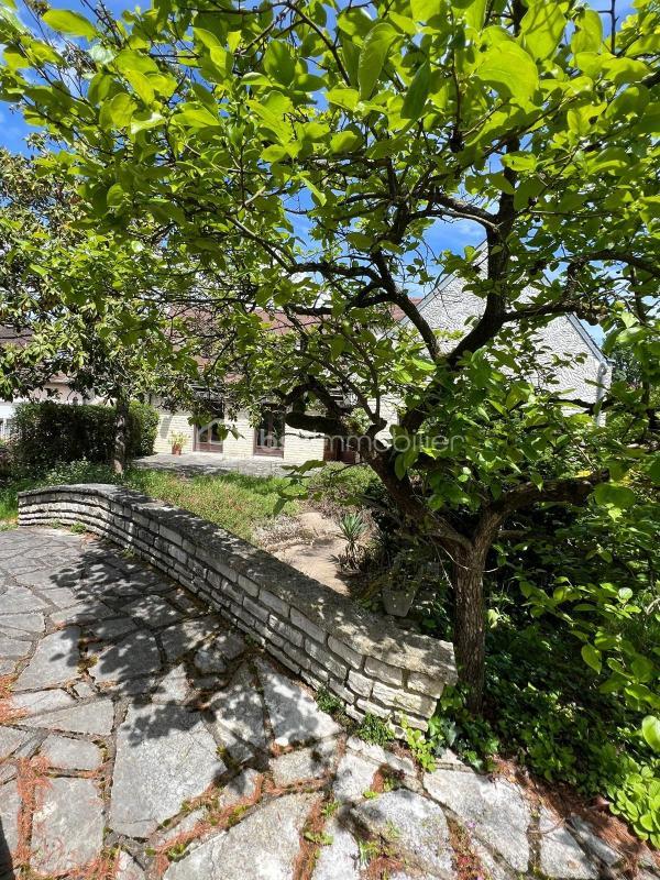 Propriété - 300 m² - 10 pièces