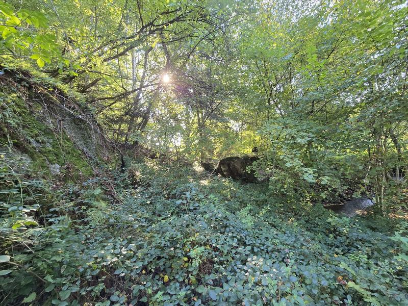 Maison - 24 m² - 1 pièce