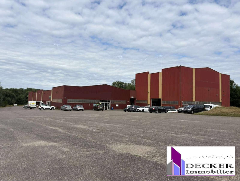 Local d'activités - 4 000 m²